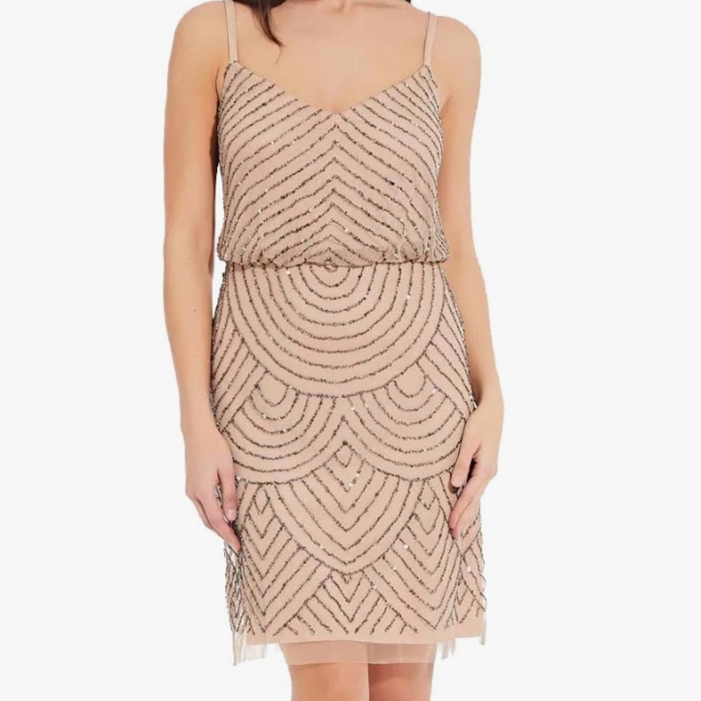 Adrianna Papell Beaded Blouson Dress